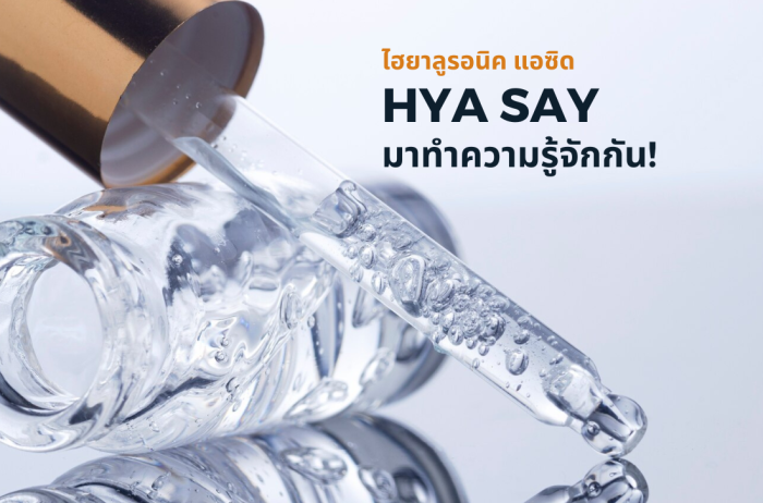 Hya say : มาทำความรู้จักเรากัน